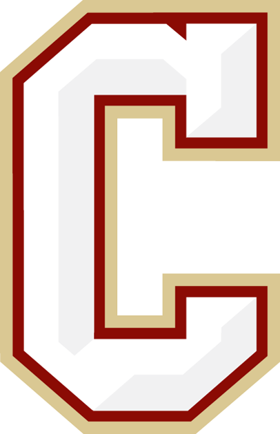 College of Charleston Cougars 2013-Pres Secondary Logo diy DTF decal sticker